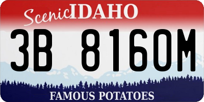 ID license plate 3B8160M