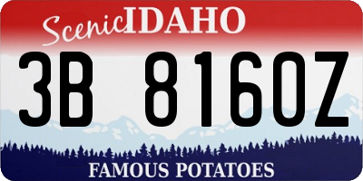 ID license plate 3B8160Z