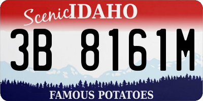 ID license plate 3B8161M
