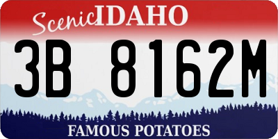 ID license plate 3B8162M