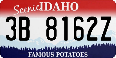 ID license plate 3B8162Z