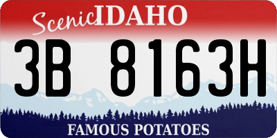 ID license plate 3B8163H