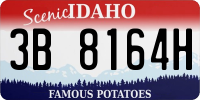 ID license plate 3B8164H