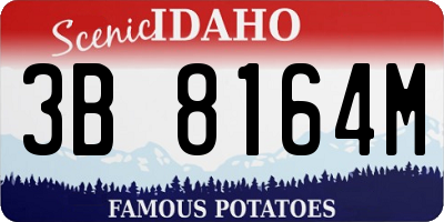 ID license plate 3B8164M
