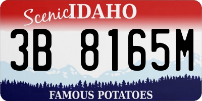 ID license plate 3B8165M