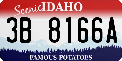 ID license plate 3B8166A