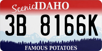 ID license plate 3B8166K