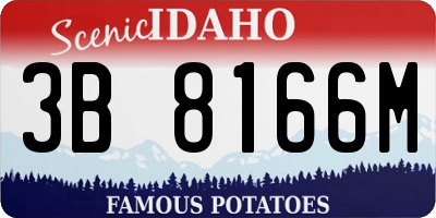 ID license plate 3B8166M