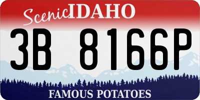 ID license plate 3B8166P