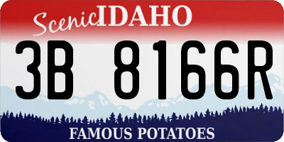 ID license plate 3B8166R