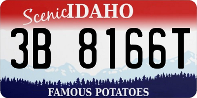 ID license plate 3B8166T