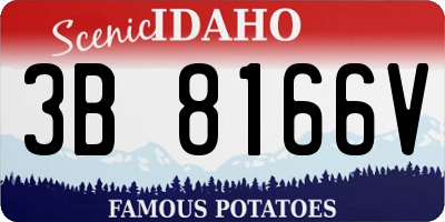 ID license plate 3B8166V