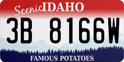 ID license plate 3B8166W