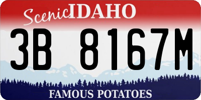 ID license plate 3B8167M