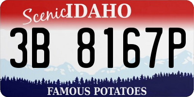 ID license plate 3B8167P