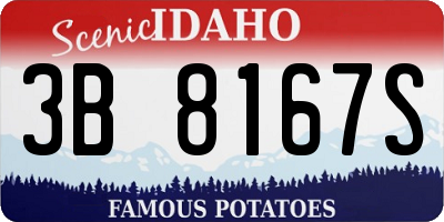 ID license plate 3B8167S