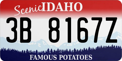 ID license plate 3B8167Z
