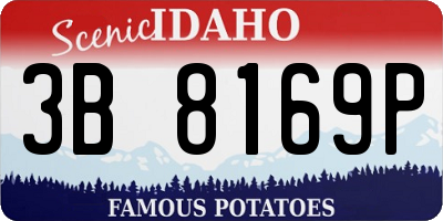 ID license plate 3B8169P