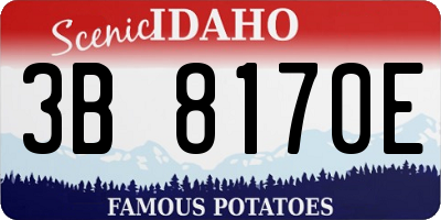 ID license plate 3B8170E