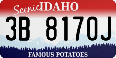ID license plate 3B8170J