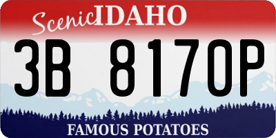 ID license plate 3B8170P