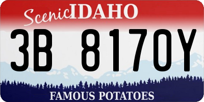 ID license plate 3B8170Y