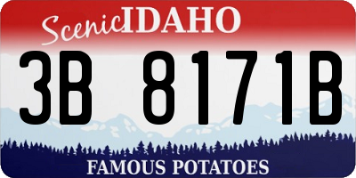 ID license plate 3B8171B