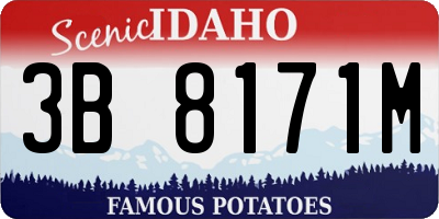 ID license plate 3B8171M