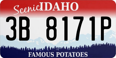 ID license plate 3B8171P