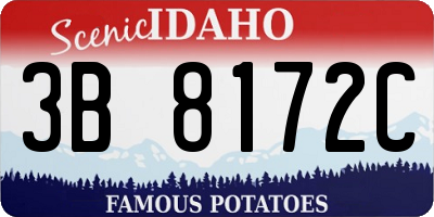 ID license plate 3B8172C