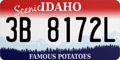 ID license plate 3B8172L