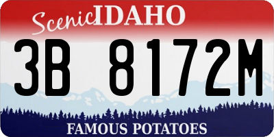 ID license plate 3B8172M