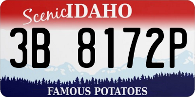 ID license plate 3B8172P