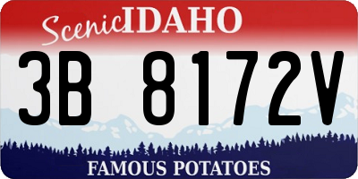 ID license plate 3B8172V