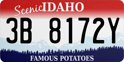 ID license plate 3B8172Y