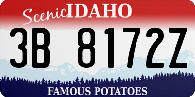 ID license plate 3B8172Z