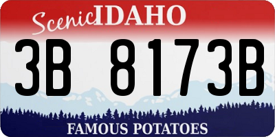 ID license plate 3B8173B