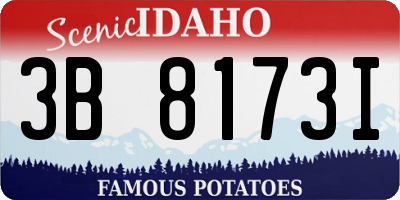 ID license plate 3B8173I