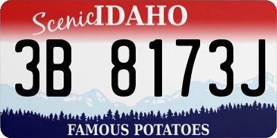 ID license plate 3B8173J