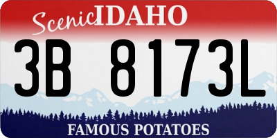 ID license plate 3B8173L