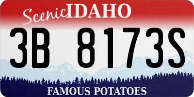 ID license plate 3B8173S