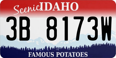 ID license plate 3B8173W