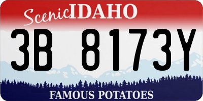 ID license plate 3B8173Y