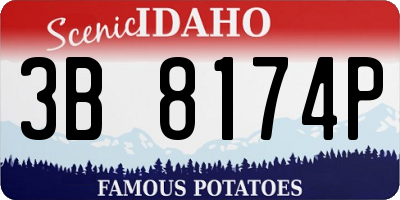 ID license plate 3B8174P