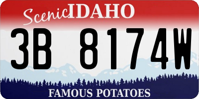 ID license plate 3B8174W