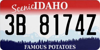 ID license plate 3B8174Z