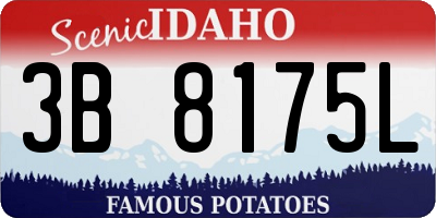 ID license plate 3B8175L