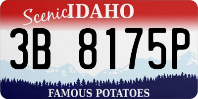 ID license plate 3B8175P
