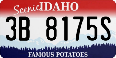 ID license plate 3B8175S