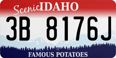 ID license plate 3B8176J